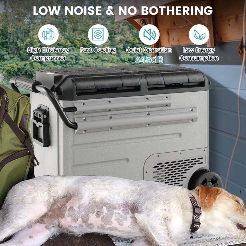 51Quart Dualzone Car Refrigerator with Wheels, 12V/24V DC & 100240V