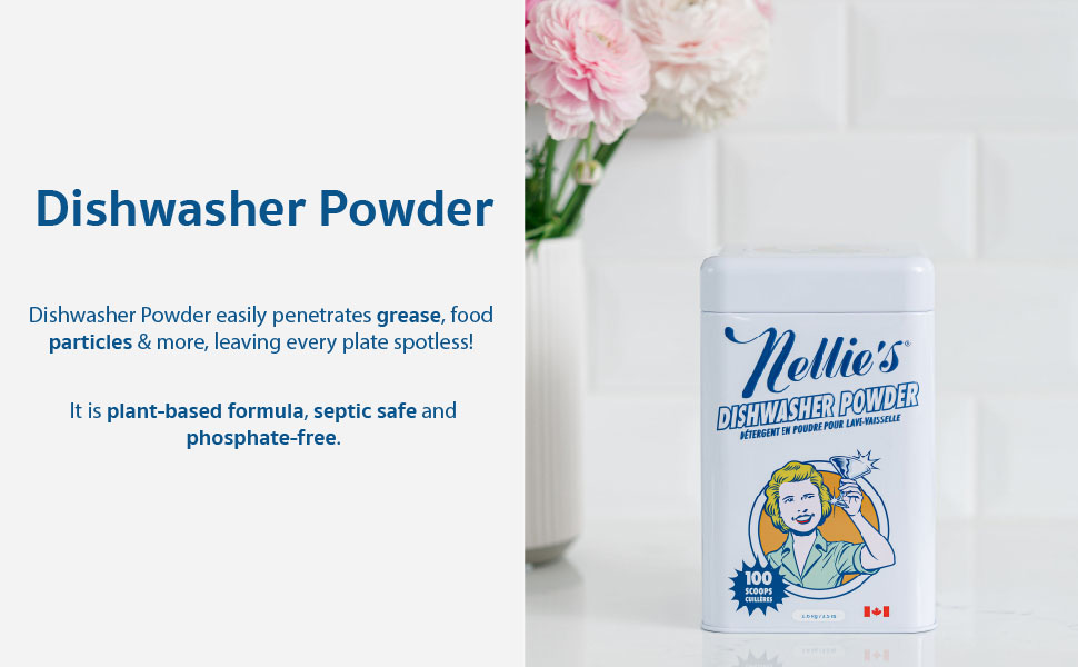 Dishwasher Powder 