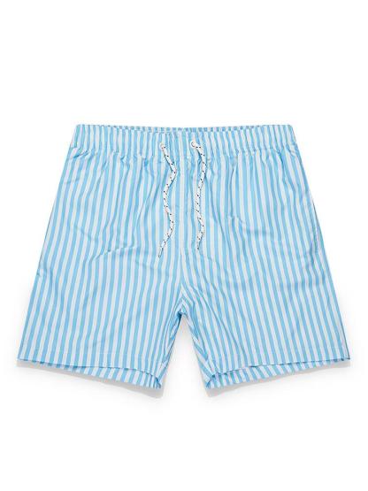 Striped Swim Shorts-Mitchell Shoes
