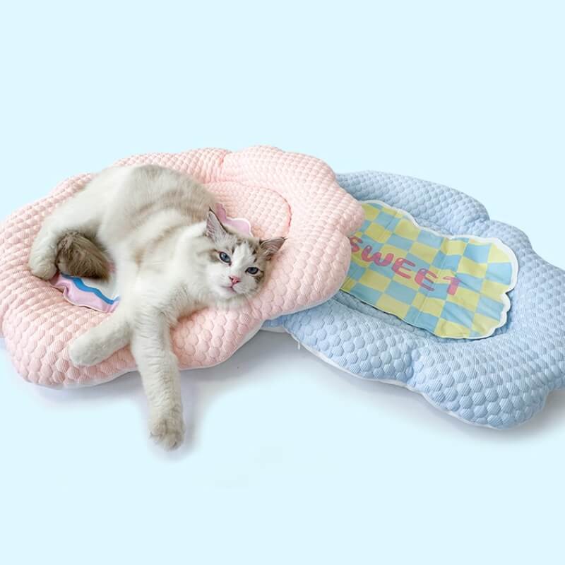 Pet Beds