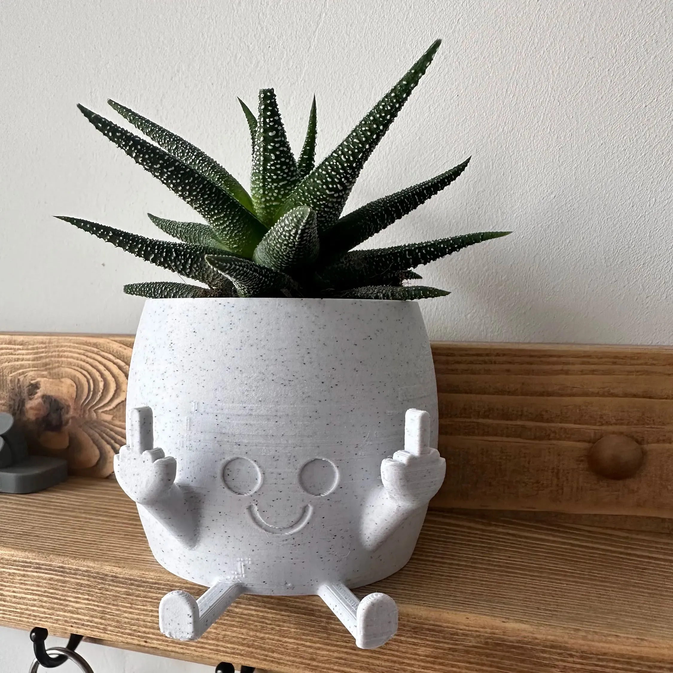 🤣3D Printed Planter with Middle Finger Smiling Up