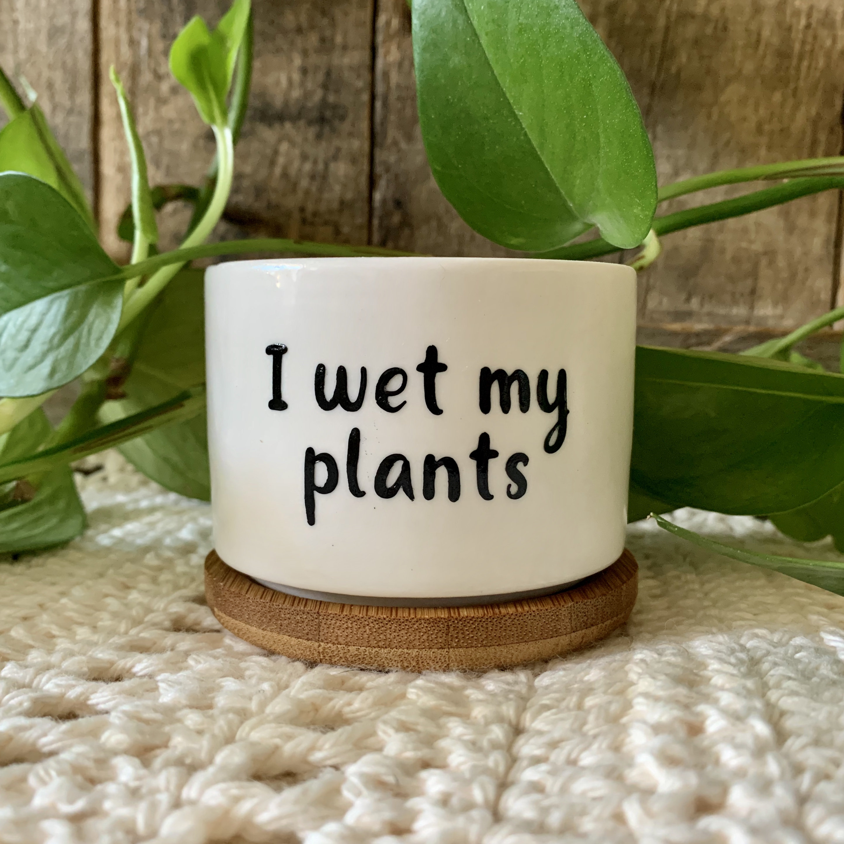 Funny unique succulent pots