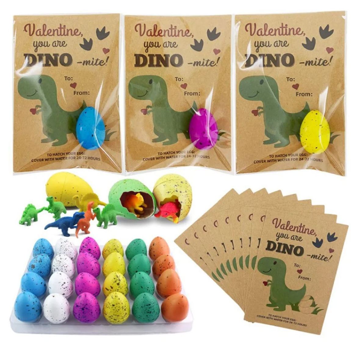 24 Pack Dinosaur Egg Hatching Card-Funny Dino Valentine Exchange Cards for kids