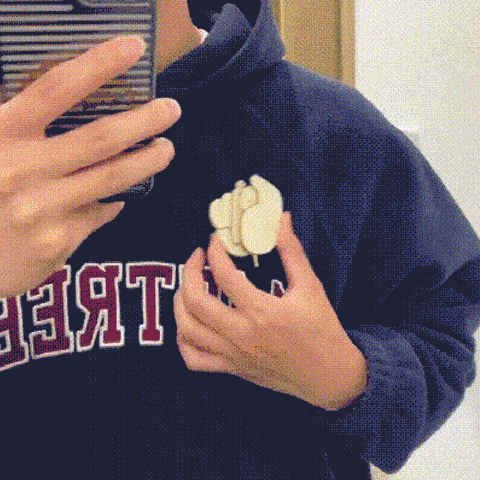 Middle Finger Brooch