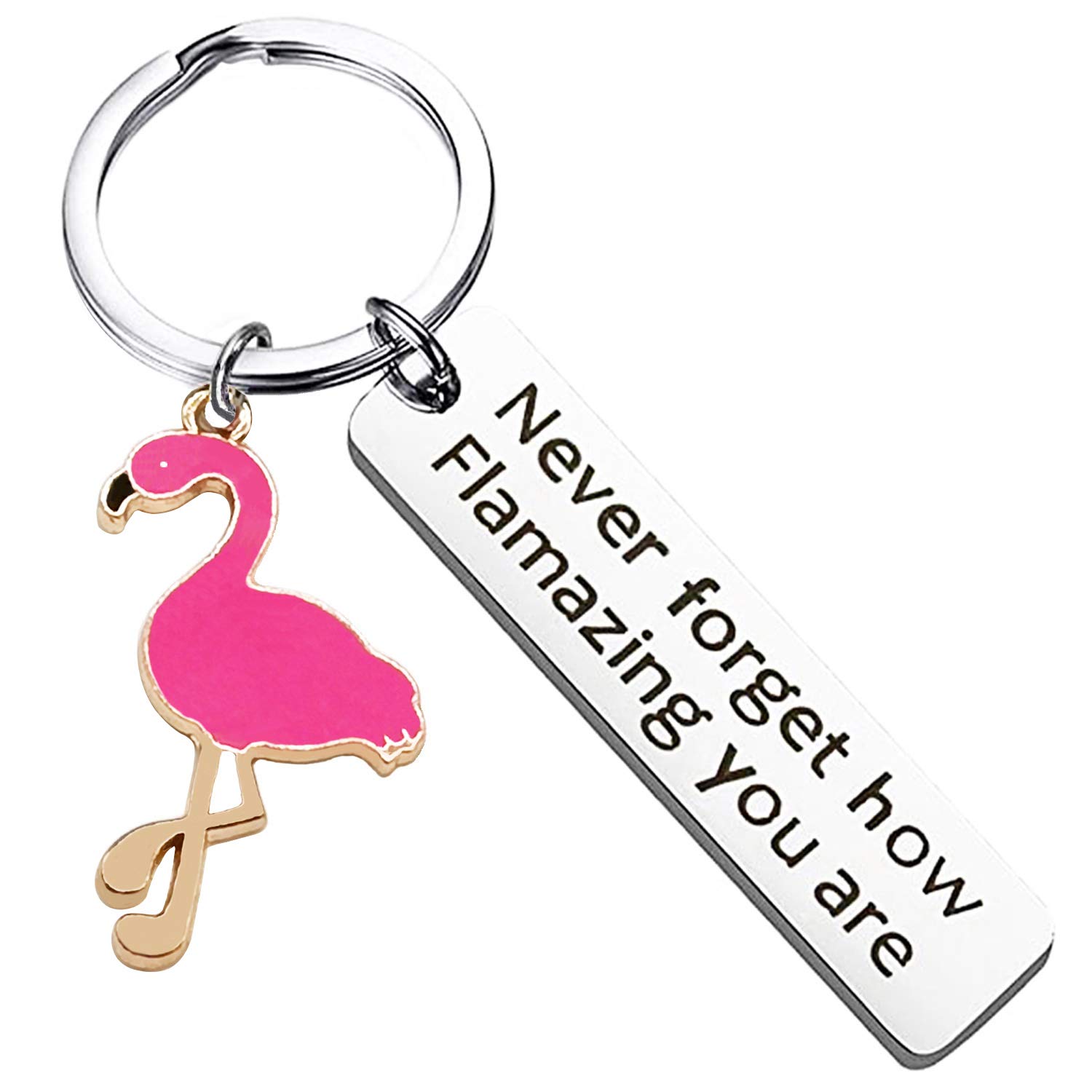 Never Forget How Flamazing You Are Flamingo Keychain