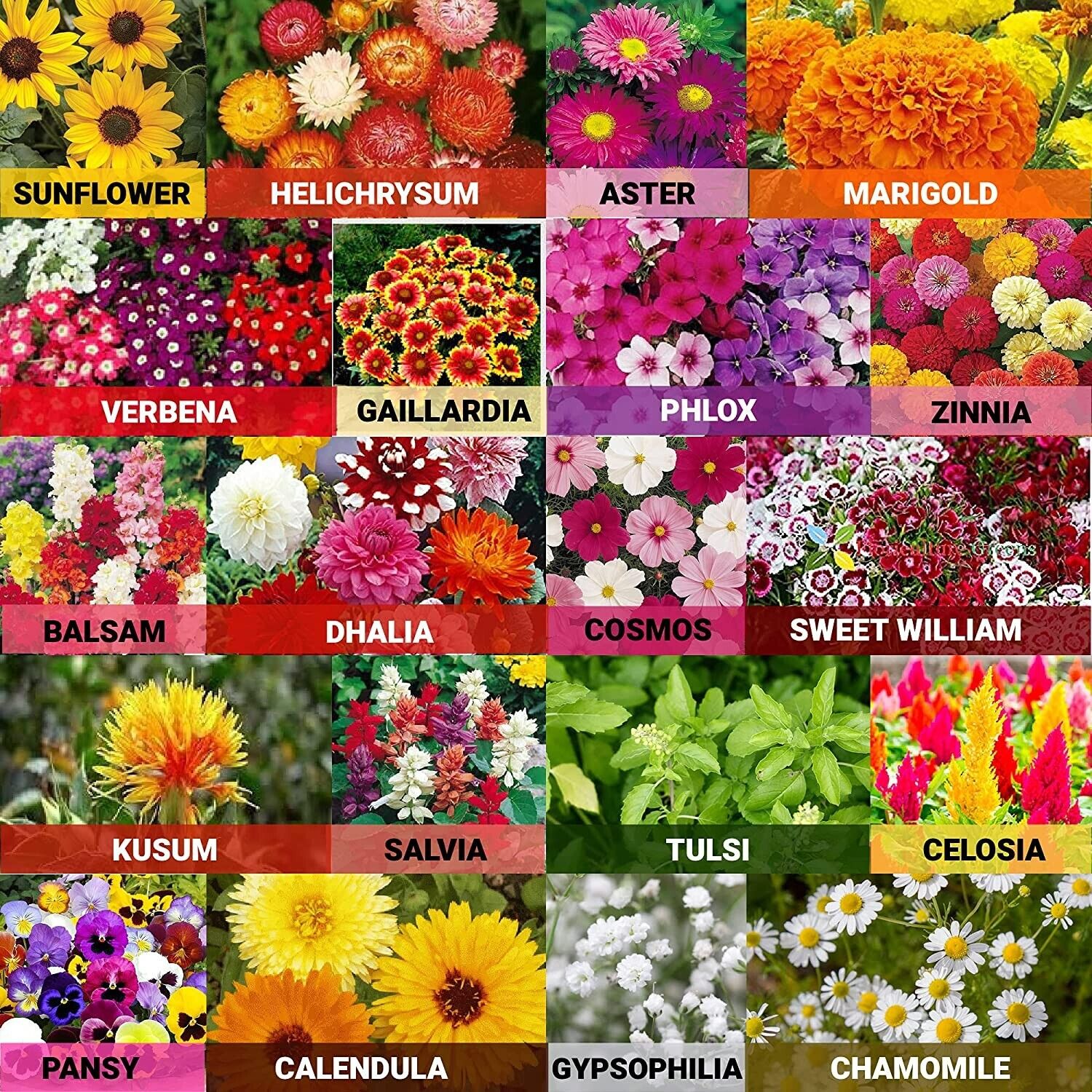 Garden Flower Seed Mix Package (Up to 30 types)