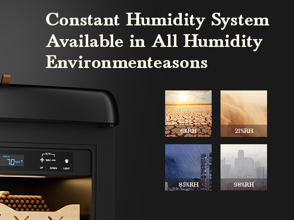 Mojgar Electric Cigar Humidor with constant humidity system, adaptable to all environments, maintaining optimal conditions from 6%RH to 98%RH for premium cigar preservation year-round.