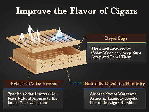 Spanish cedar shelves in the Mojgar humidor release natural aroma, regulate humidity by absorbing excess water, and repel bugs, enhancing cigar flavor and maintaining optimal storage conditions.