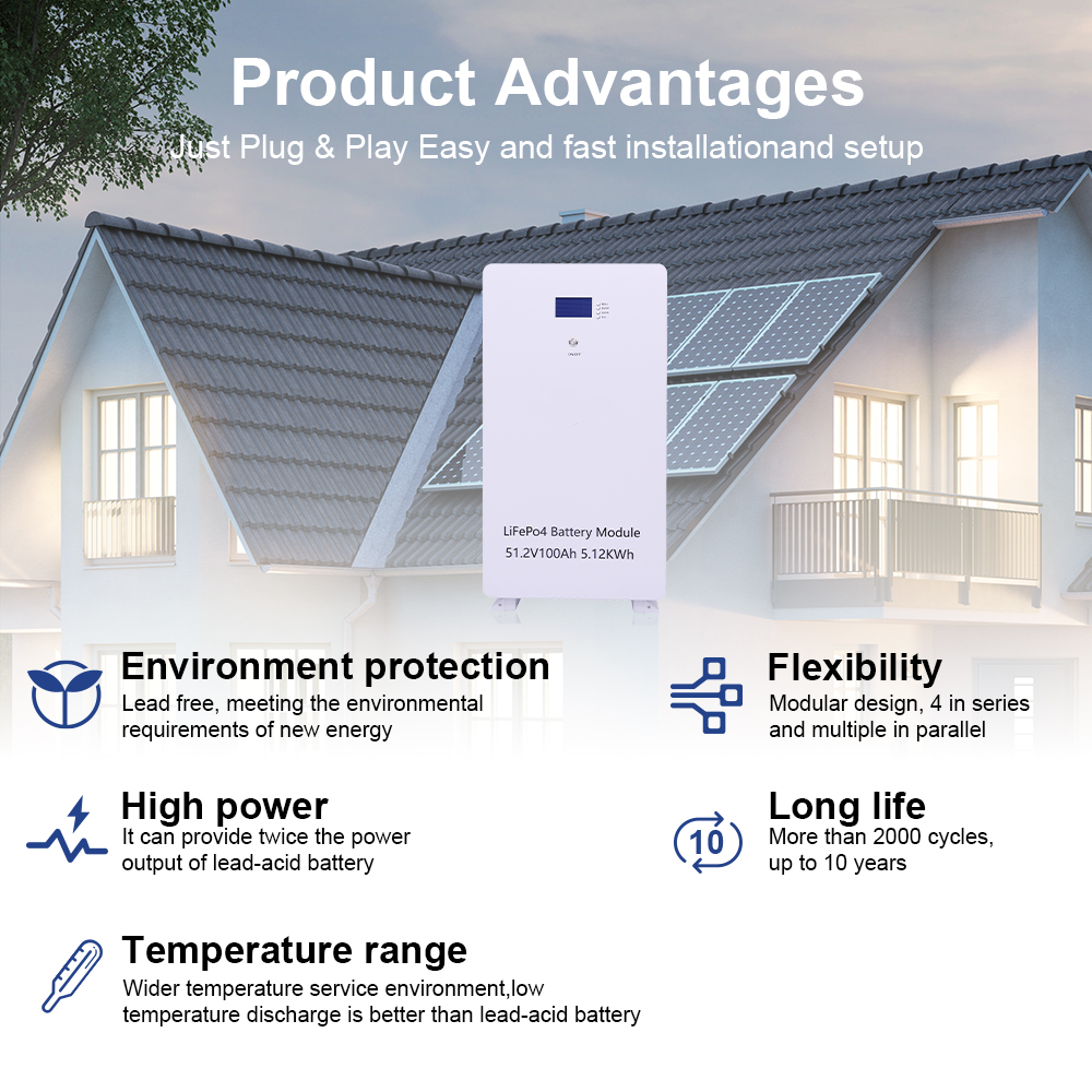 DAXTROMN 51.2V LIFEPO4 BATTERRY 100AH BUILT-IN BMS LITHIUM LON BATTERIES 