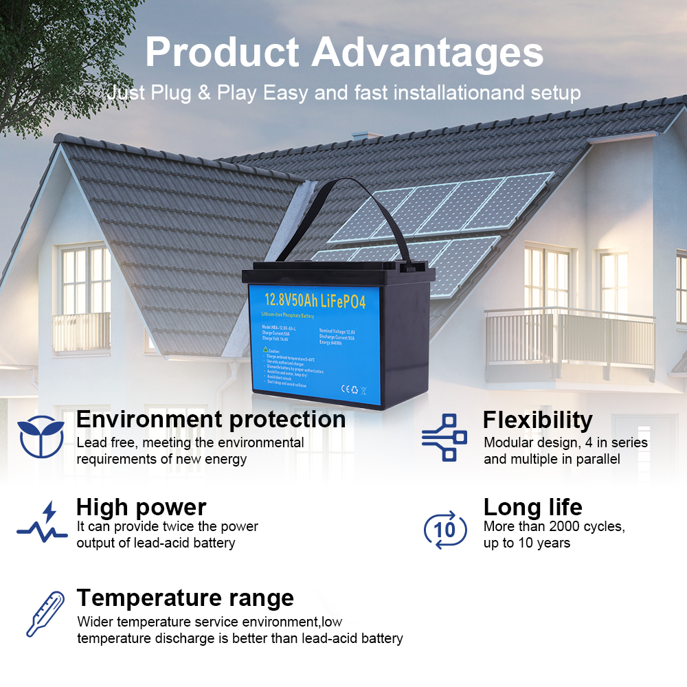 DAXTROMN 12.8V LIFEPO4 BATTERRY 50AH BUILT-IN BMS LITHIUM LON BATTERIES 