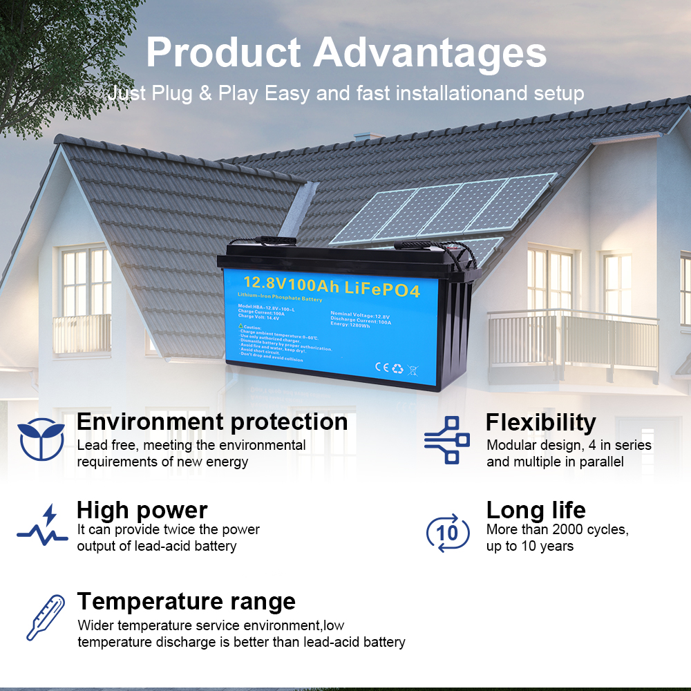 DAXTROMN 12.8V LIFEPO4 BATTERRY 1000AH BUILT-IN BMS LITHIUM LON BATTERIES 