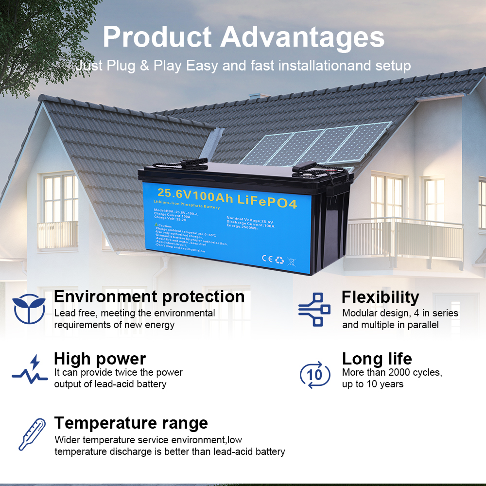 DAXTROMN 25.6V(24V) 100AH  2560kWh Lifepo4 Batterry  Lithium Battery EU Tax Free