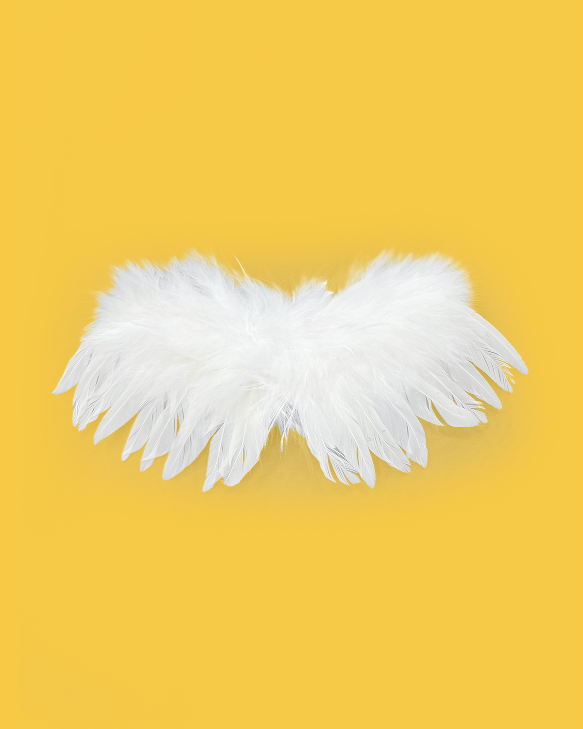 White Wings | Suitable for 5.9 Inches Stuffed Animals