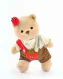 Brown Bear With Outfit