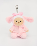 Mini Bear With Outfit