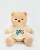 Brown Bear With Outfit