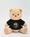 Brown Bear With Outfit