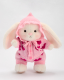 White Bunny with Outfit