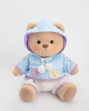 Brown Bear With Outfit