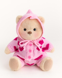 Brown Bear With Outfit