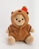 Brown Bear With Outfit