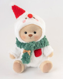 Brown Bear With Outfit
