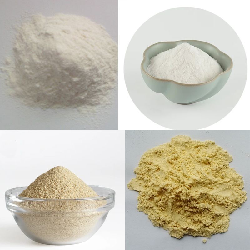 Factory Supply High Quality Made in China Sodium Alginate Powder CAS 9005-38-3