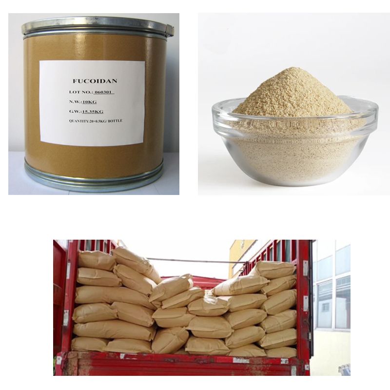 Factory Supply High Quality Made in China Sodium Alginate Powder CAS 9005-38-3