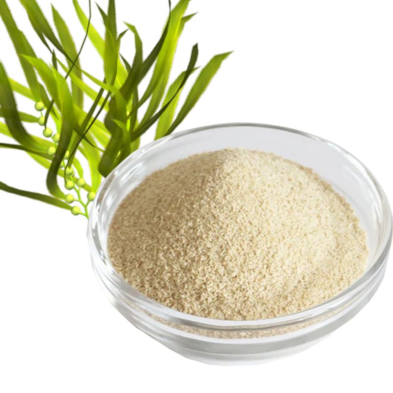 Factory Supply High Quality Made in China Sodium Alginate Powder CAS 9005-38-3