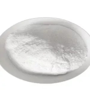 High Quality CAS 7681-57-4 Sodium Metabisulfite Food Additive 99% Sodium Metabisulfite Powder