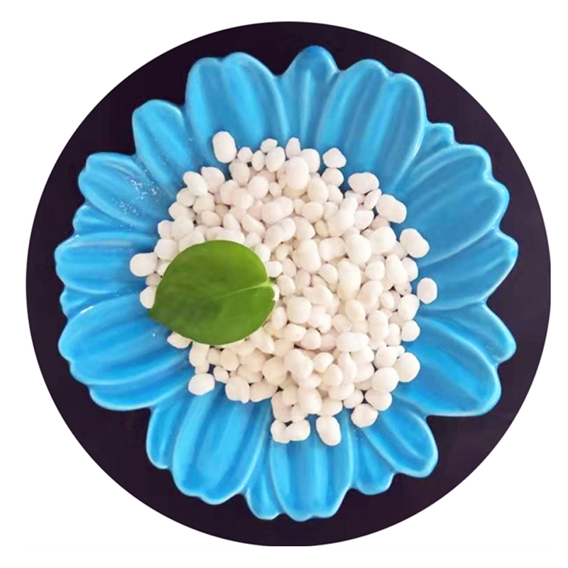 CAS 7647-14-5 Sodium Chloride Nacl Wholesale Price