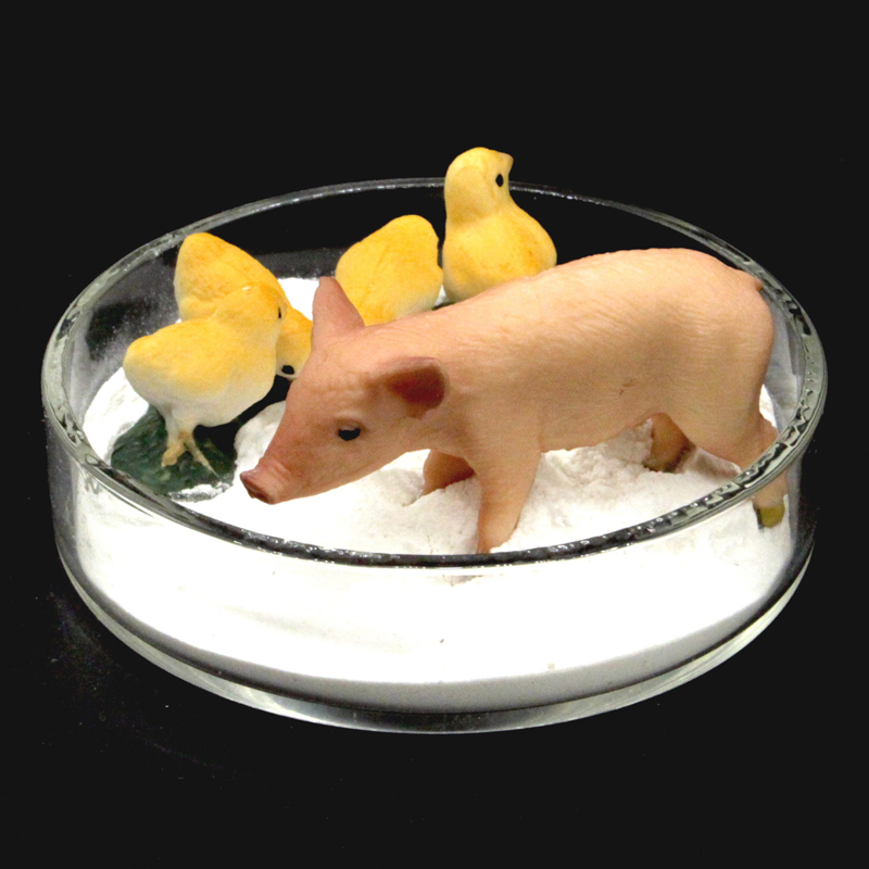 Fertilizer Grade MDCP CAS 7757-93-9 Dibasic Calcium Hydrogen Phosphate