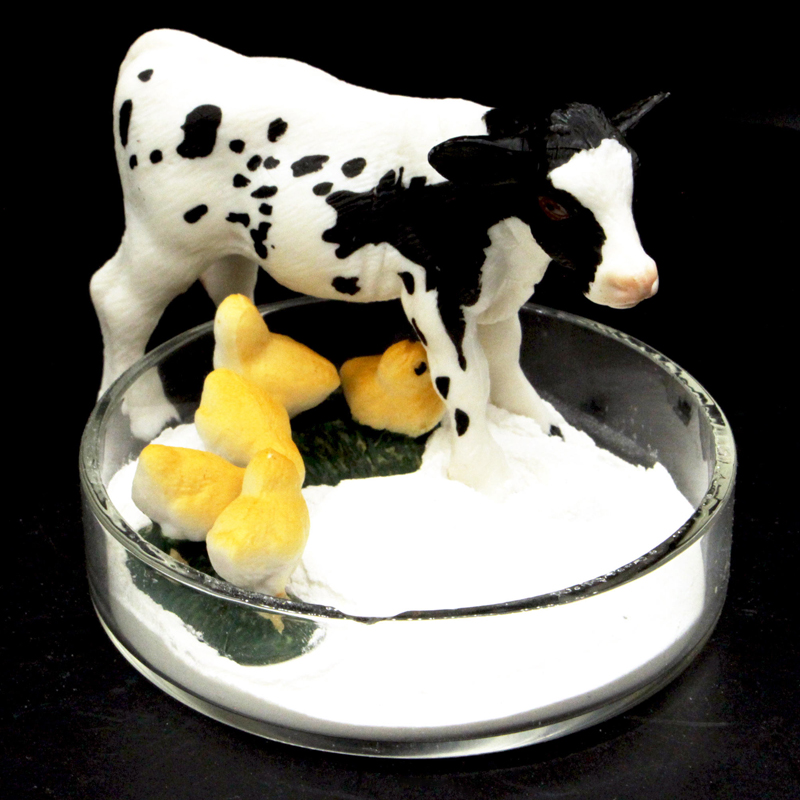 Food Additives Best Price CAS 7789-77-7 Dicalcium Phosphate Dihydrate Powder in Stock