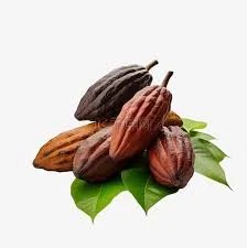 Wholesale Export Food Grade Pure Natural Raw Alkalized Dark Brown Black Cocoa Powder