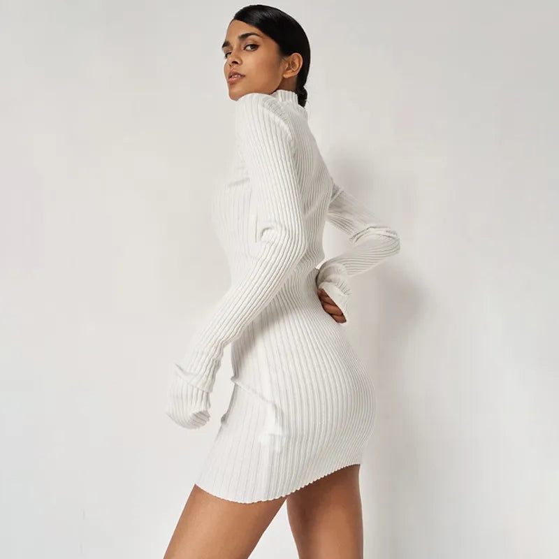 Ribbed Turtleneck Dress