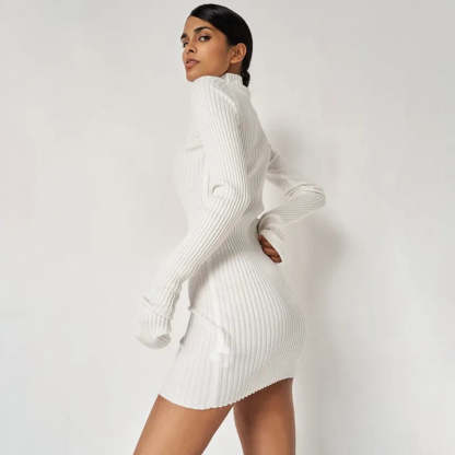 Ribbed Turtleneck Dress