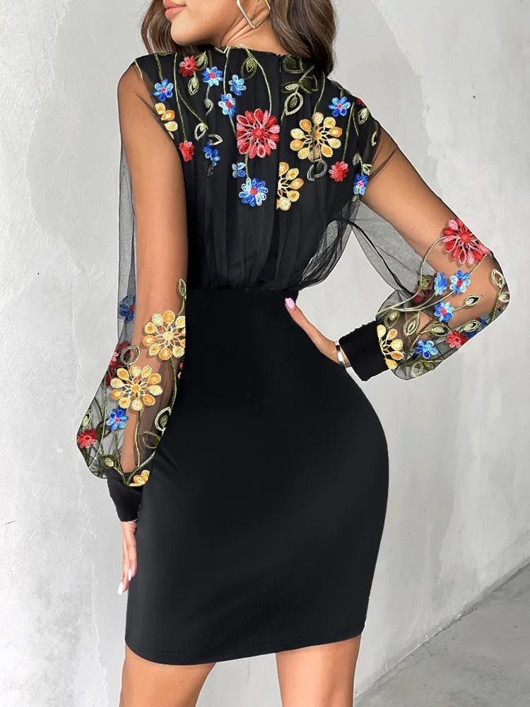 Sheer Sleeve dycon Dress