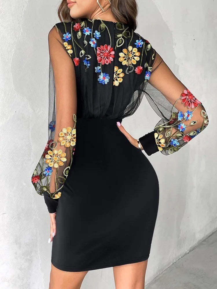 Sheer Sleeve dycon Dress