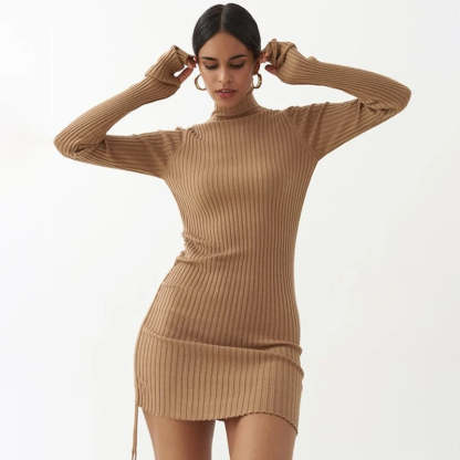 Ribbed Turtleneck Dress