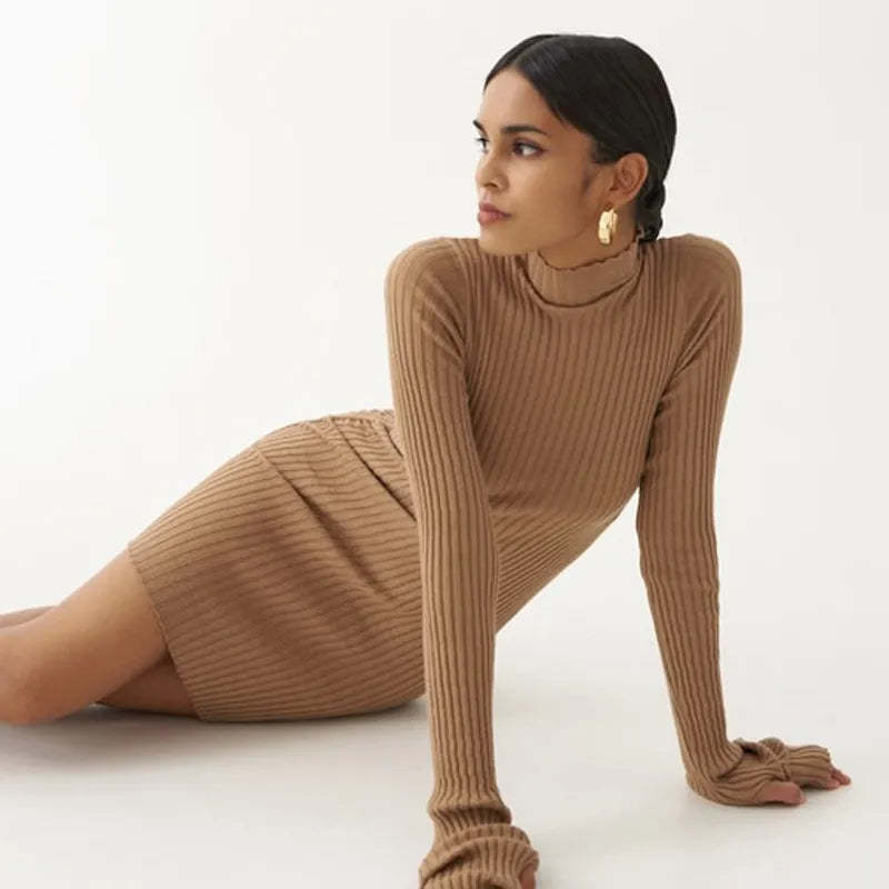 Ribbed Turtleneck Dress