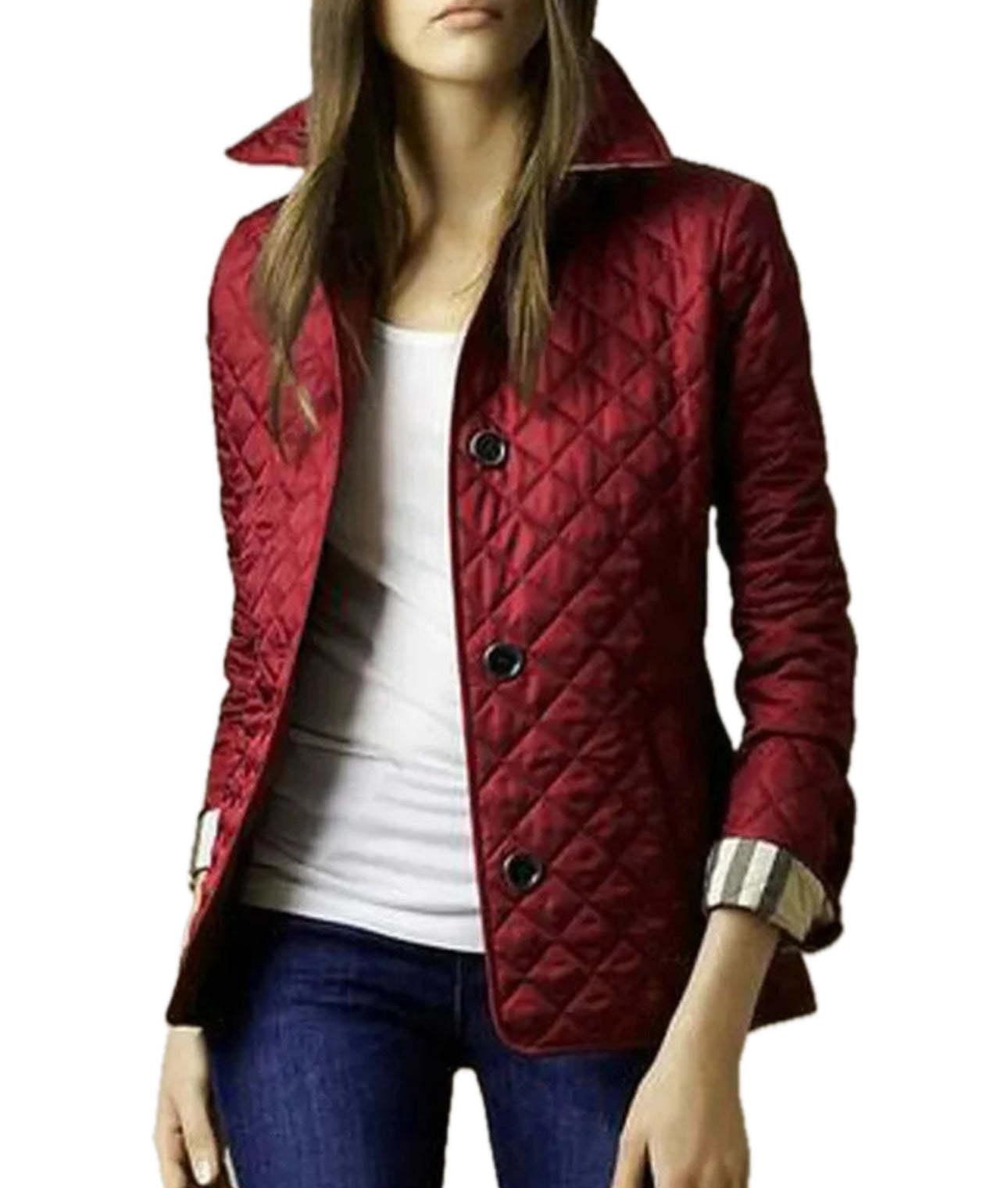 Winter Silk Jacket