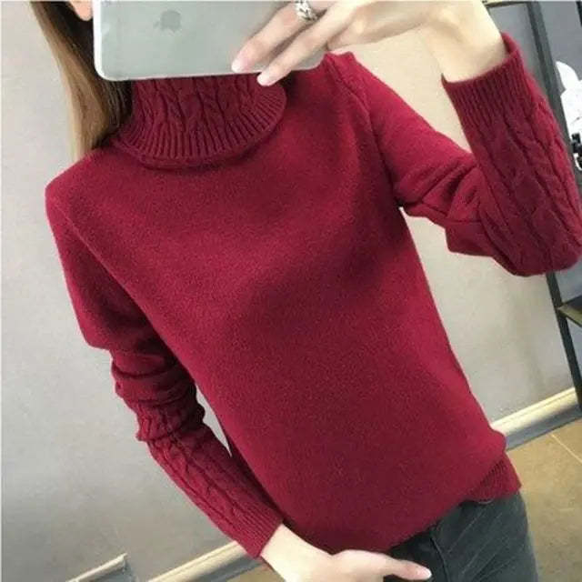 Warm Turtleneck Sweater