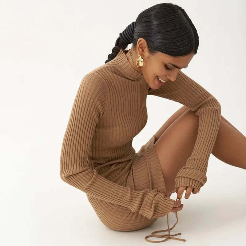 Ribbed Turtleneck Dress