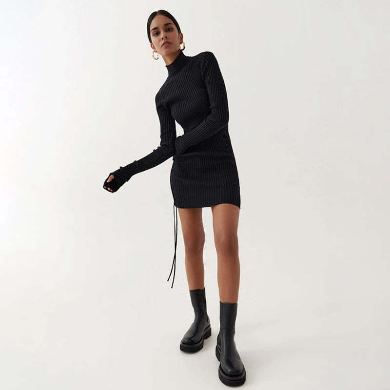 Ribbed Turtleneck Dress