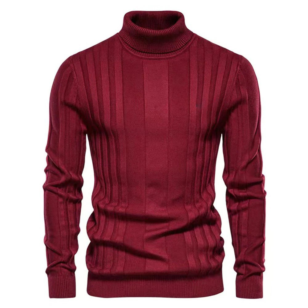 Modern Striped Turtleneck for Men