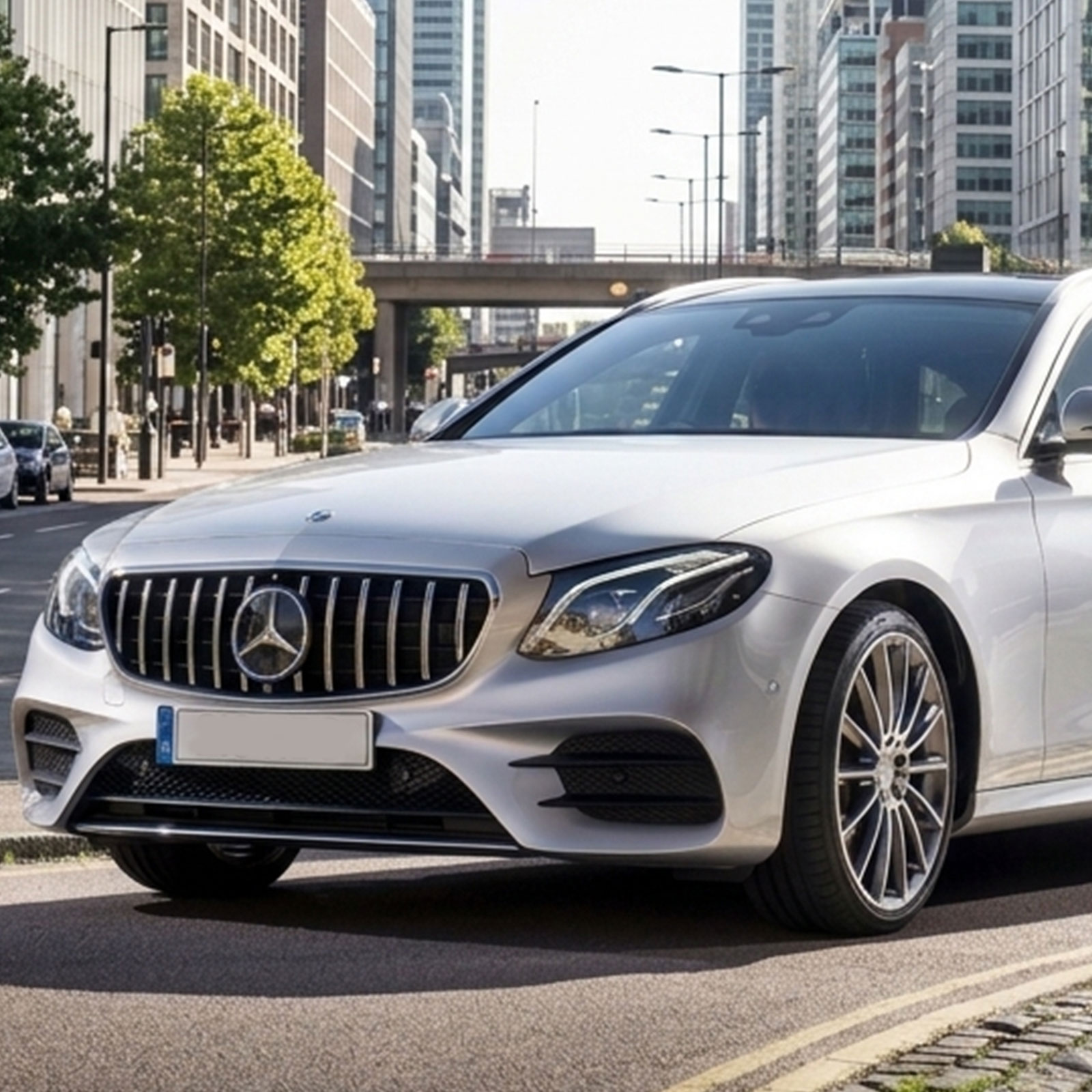Mercedes Benz Grille