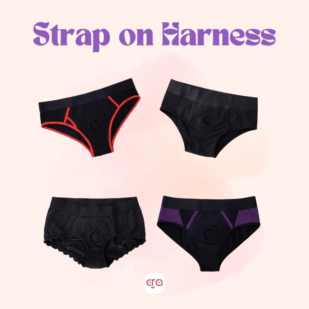 brief harness collection