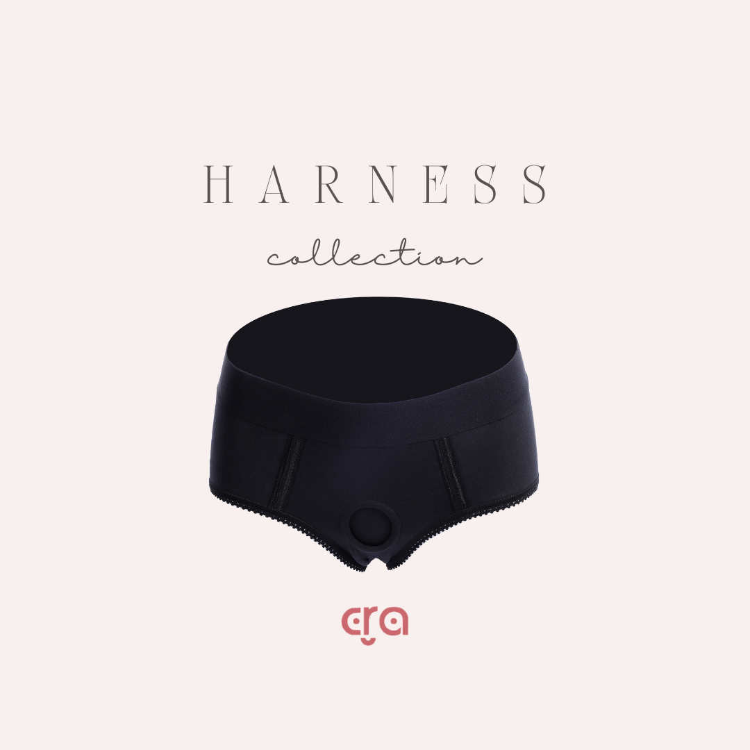 brief harness