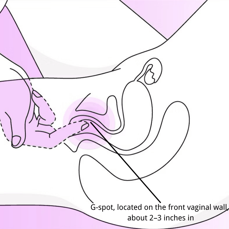 g-spot