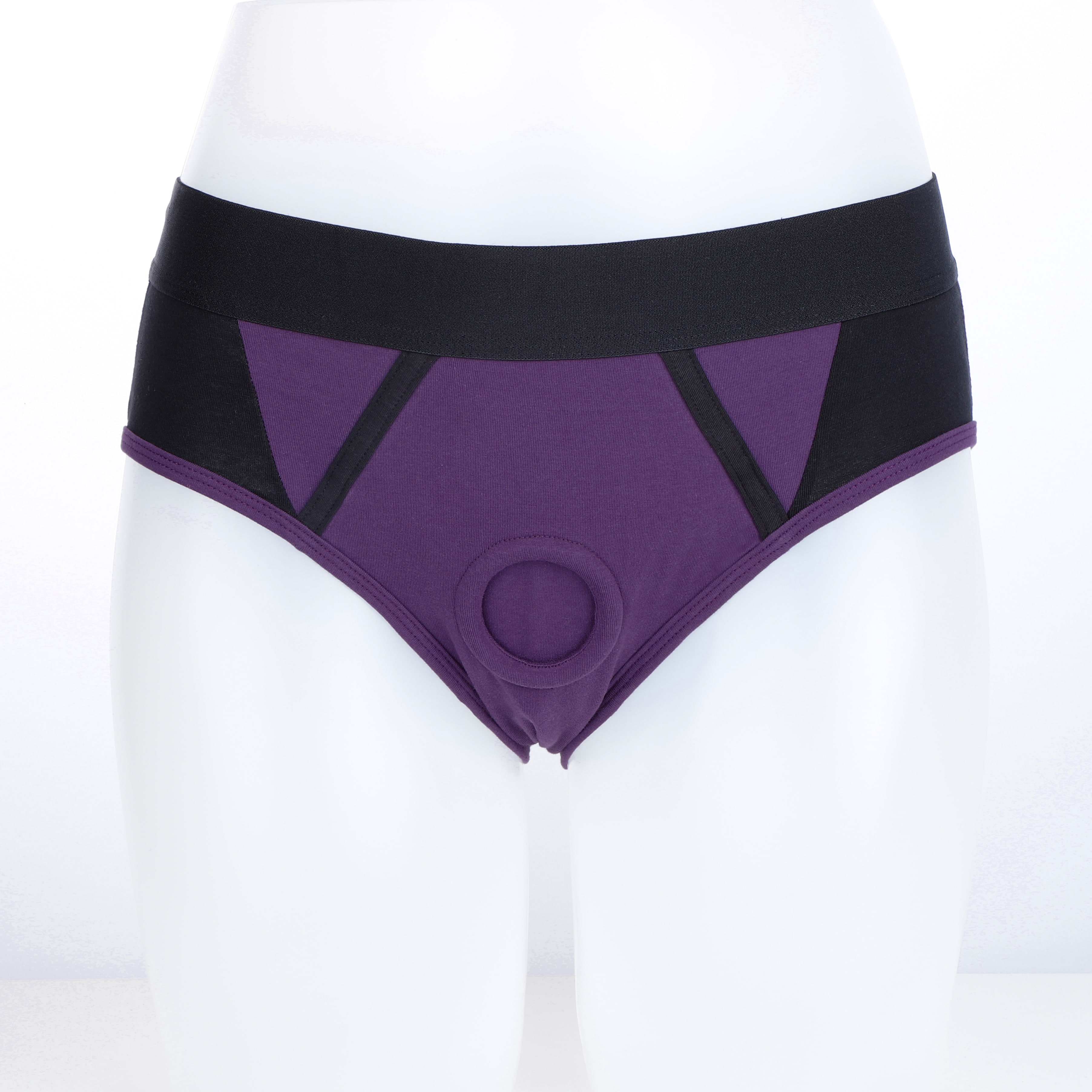 Sexy Chic Brief Dildo Harness